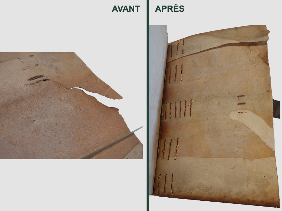 Restauration